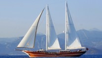Gullet Marenostrum